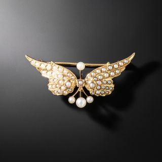 Victorian Seed Pearl Wing Pin - 3