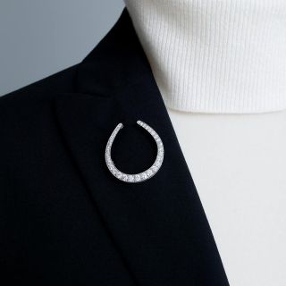 Diamond Horseshoe Pin