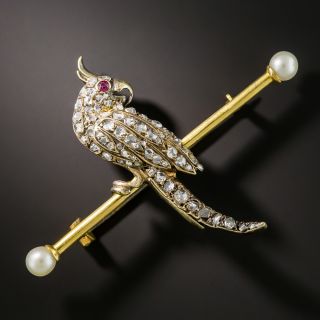 Victorian Cockatiel Pin - 1