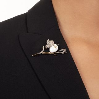 Victorian Diamond and Enamel Bird Brooch With Egg