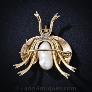 Antique Bug Pin