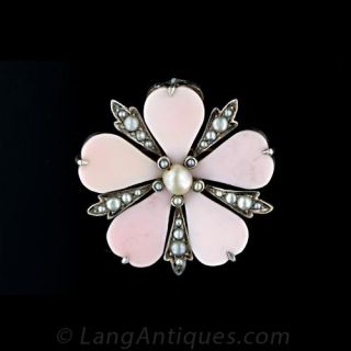 Antique Conch Shell Flower Pin Main View