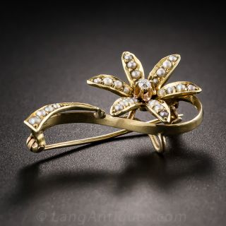 Antique Diamond and Seed Pearl Daisy Brooch