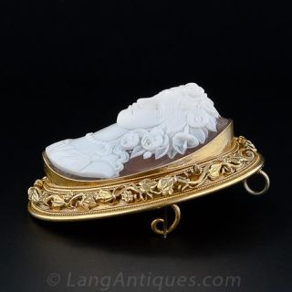 Exceptional Shell Cameo