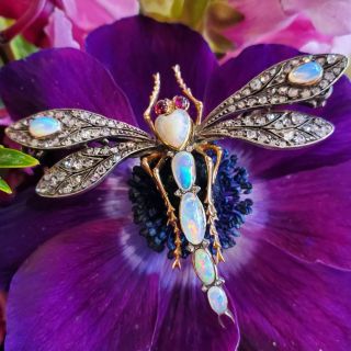 French Art Nouveau Dragonfly Brooch 