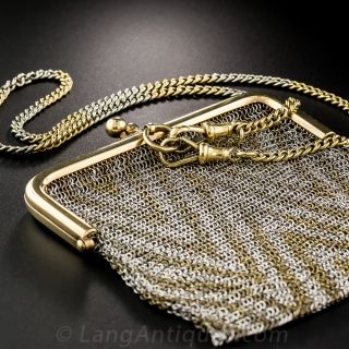 Gold and Platinum Mini Mesh Purse