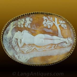 Jumbo Size Shell Cameo Main View