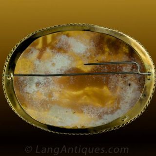 Jumbo Size Shell Cameo