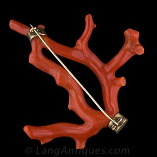 Large Coral Branch Brooch