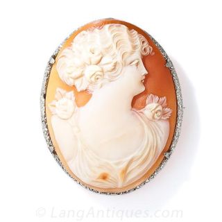 Large Mid Century Shell Cameo Brooch
