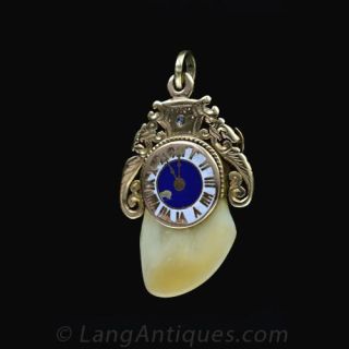 Late 19th Century Elk's Tooth Watch Fob