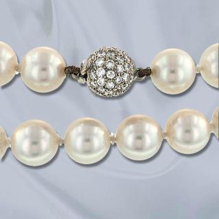 Light Cream Rose Pearl Strand