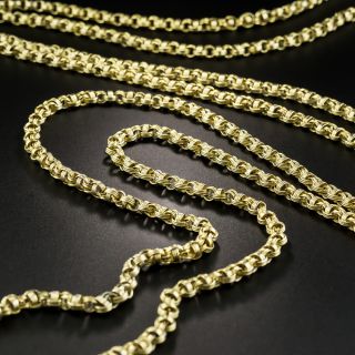 Victorian Watch Chain With Swivel - 2