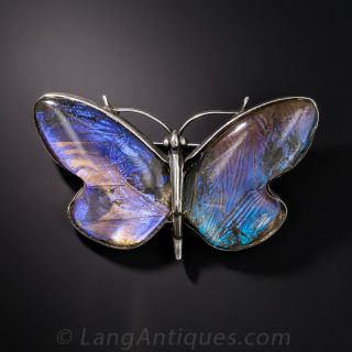 Victorian Butterfly Wing Brooch