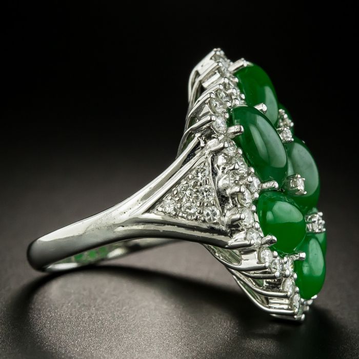 Den. cucumerinum＆willnckii Jade Girl＆ Platycerium Willinckii 'Jade girl' | Welovetropicalplants