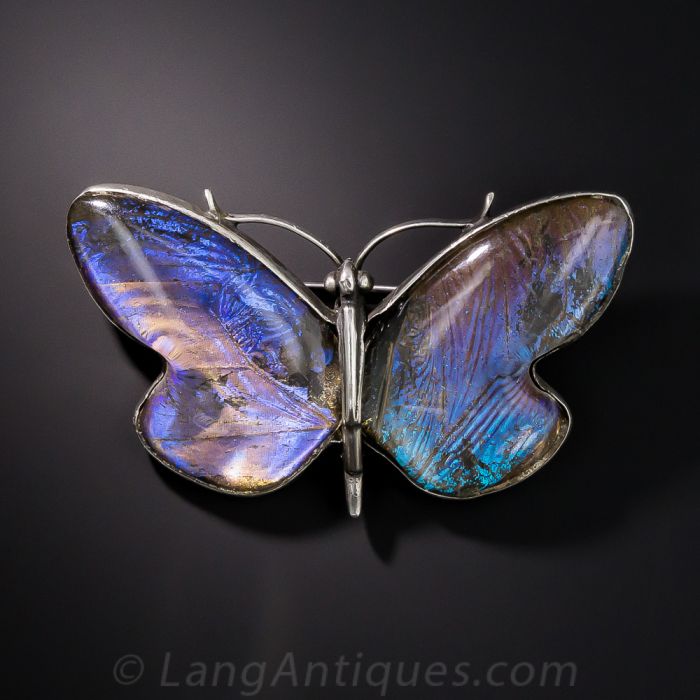Victorian Butterfly Wing Brooch